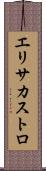Elisa Castro Scroll