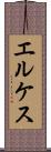 エルケス Scroll