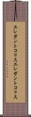エレガントコリス Scroll