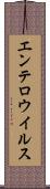 エンテロウイルス Scroll