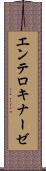 エンテロキナーゼ Scroll