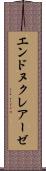 エンドヌクレアーゼ Scroll