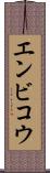 エンビコウ Scroll