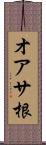 オアサ根 Scroll