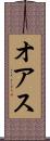 オアス Scroll