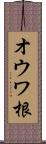 オウワ根 Scroll