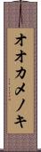 オオカメノキ Scroll