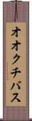 オオクチバス Scroll