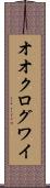オオクログワイ Scroll