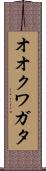 オオクワガタ Scroll