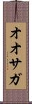 オオサガ Scroll