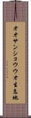 オオサンショウウオ生息地 Scroll