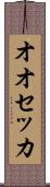 オオセッカ Scroll