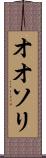 オオソリ Scroll