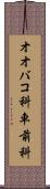 オオバコ科 Scroll