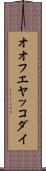 オオフエヤッコダイ Scroll