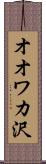 オオワカ沢 Scroll