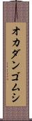 オカダンゴムシ Scroll