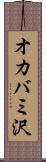 オカバミ沢 Scroll