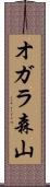 オガラ森山 Scroll