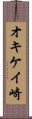 オキケイ崎 Scroll