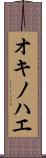 オキノハエ Scroll