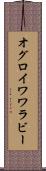 オグロイワワラビー Scroll
