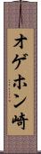 オゲホン崎 Scroll