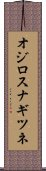 オジロスナギツネ Scroll