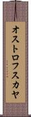 オストロフスカヤ Scroll