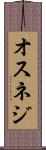 オスネジ Scroll
