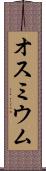 オスミウム Scroll