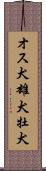 オス犬 Scroll