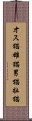 オス猫 Scroll