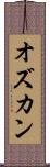 オズカン Scroll