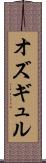 オズギュル Scroll