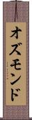 オズモンド Scroll