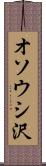 オソウシ沢 Scroll
