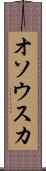 オソウスカ Scroll