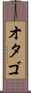 オタゴ Scroll