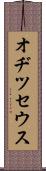 オヂツセウス Scroll