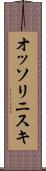 オッソリニスキ Scroll