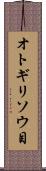 オトギリソウ目 Scroll