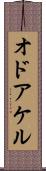 オドアケル Scroll