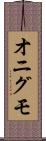オニグモ Scroll