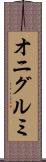 オニグルミ Scroll