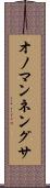 オノマンネングサ Scroll