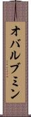 オバルブミン Scroll