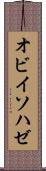 オビイソハゼ Scroll