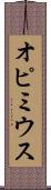 オピミウス Scroll